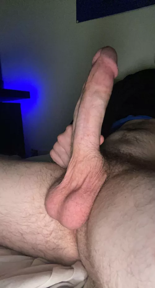 would you be my paypig? by mrpmmeurwife