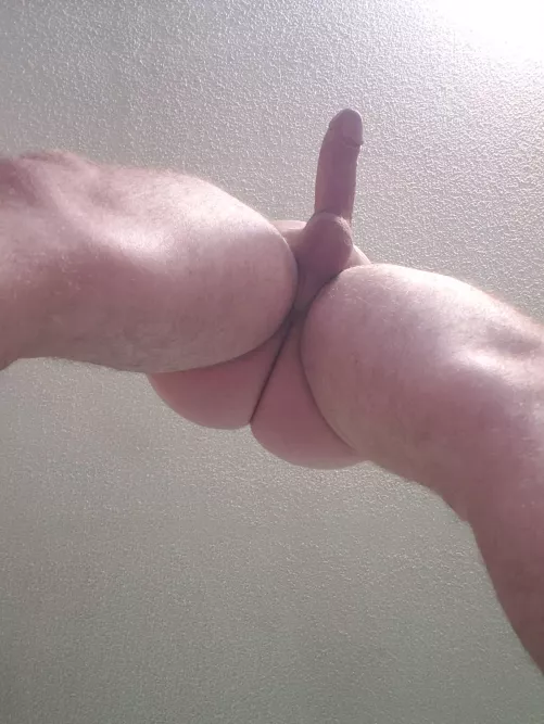 Would you breed me? by Own_Rise_2709