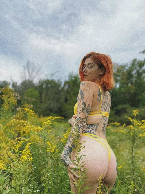 Would you come camping with me? 🌲 ⛺️ by MxCatSky