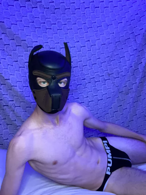 Would you come cuddle with me?😈🙈 by benwolffans