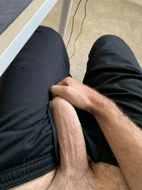 Would you concentrate next to me? by MenloBull