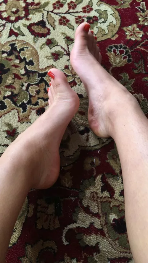 Would you cum all over my feet?💦😏link in bio by cierrabella4sure