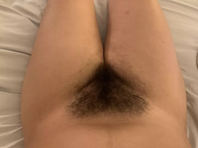 Would you eat me out? I can keep your nose warm :3 by cherrythemistress