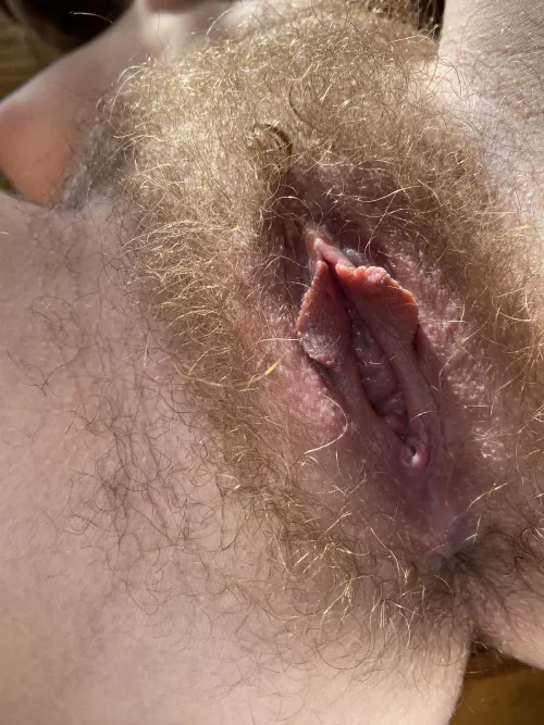 would you eat my ginger pussy? by abbysunny