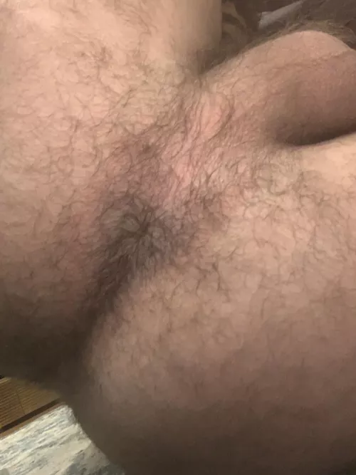 Would you eat my hole? by ComprehensiveGas5340