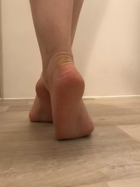 Would you follow these to the bedroom? by PMMeYourPuppies-