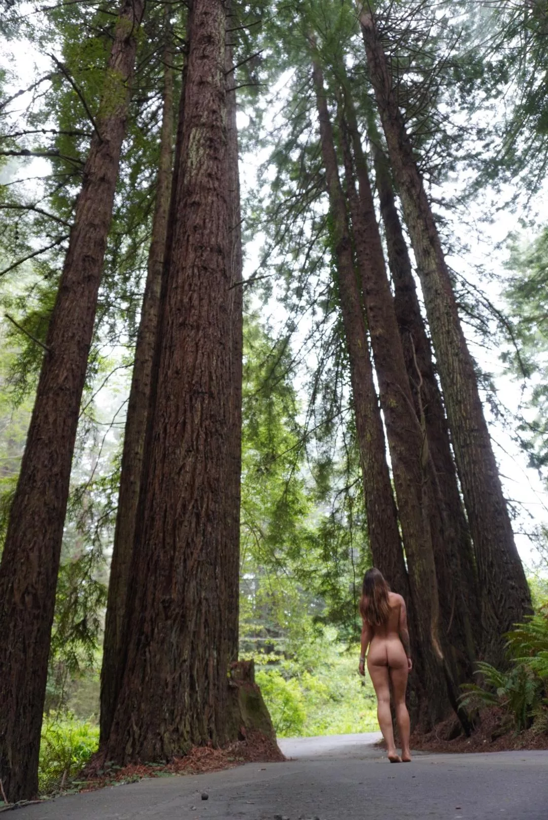 would you fuck me in these redwoods? 🧚🏽‍♀️😘 posted by Fuckmeplease123