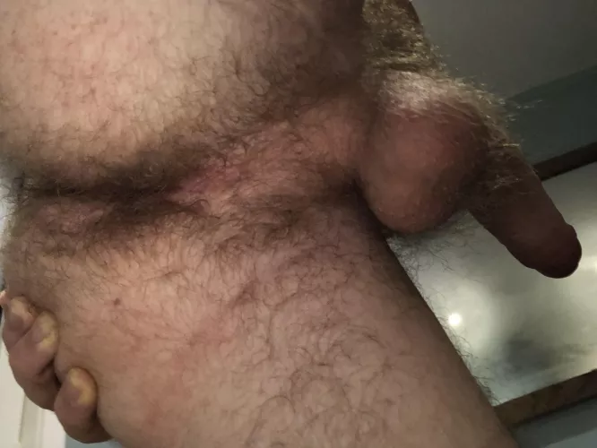 Would you fuck my hairy ass? by serpent_papi