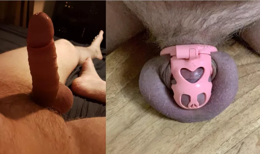 Would you fuck or lock me up? by McPretNeck