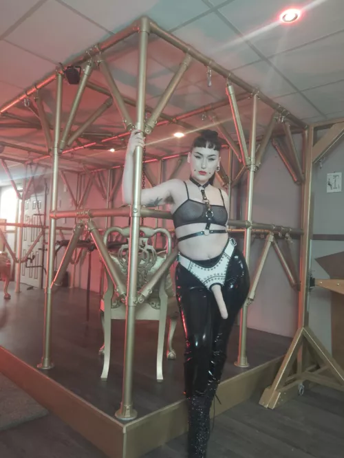 Would you get on your knees and beg to suck my 9inch cock like a good little slut? [Domme] by paynephi