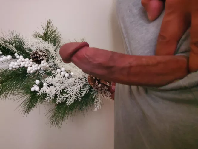 Would you give it a kiss? by Phlip037