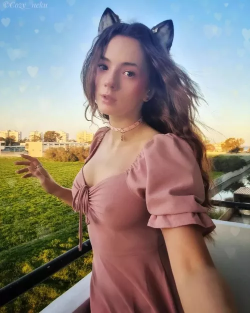 Would you go on a valentine date with me?😻🌹 by Neku_On_A_Leash