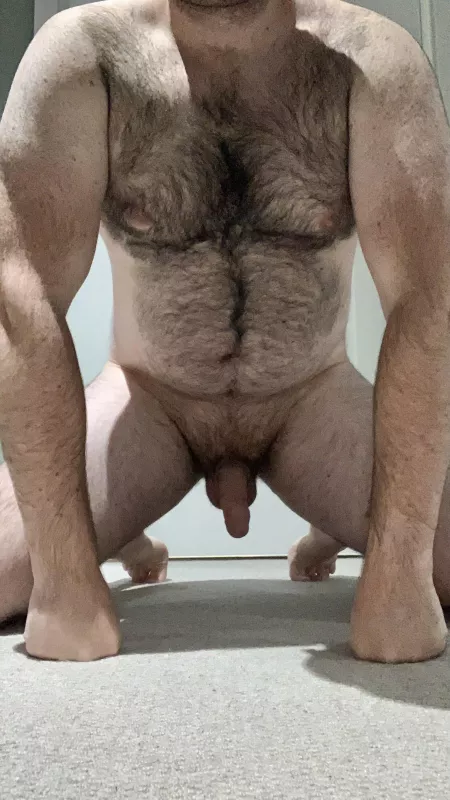 Would you have me as your pet? (31) by Pup_Husky