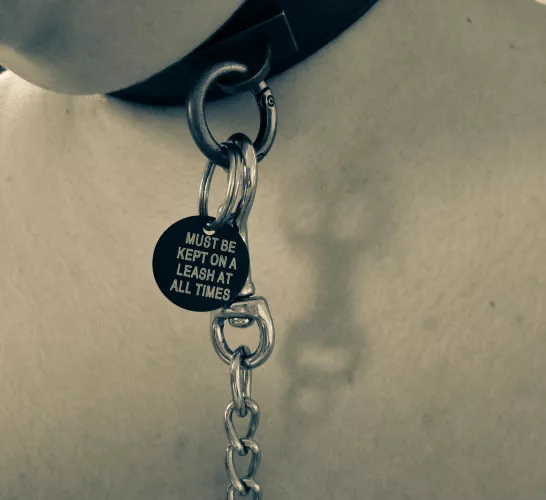 Would you hold the other end of the leash? 😈🥵 by RJRobeary