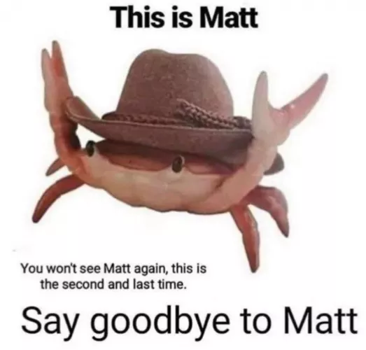 Would you let Matt have his wish of being here for ever