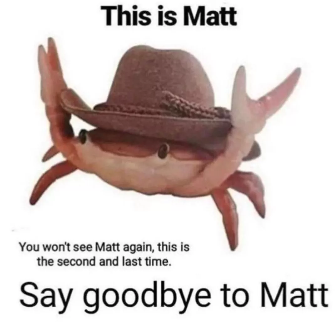 Would you let Matt have his wish of being here for ever posted by dinoooooo_nugs