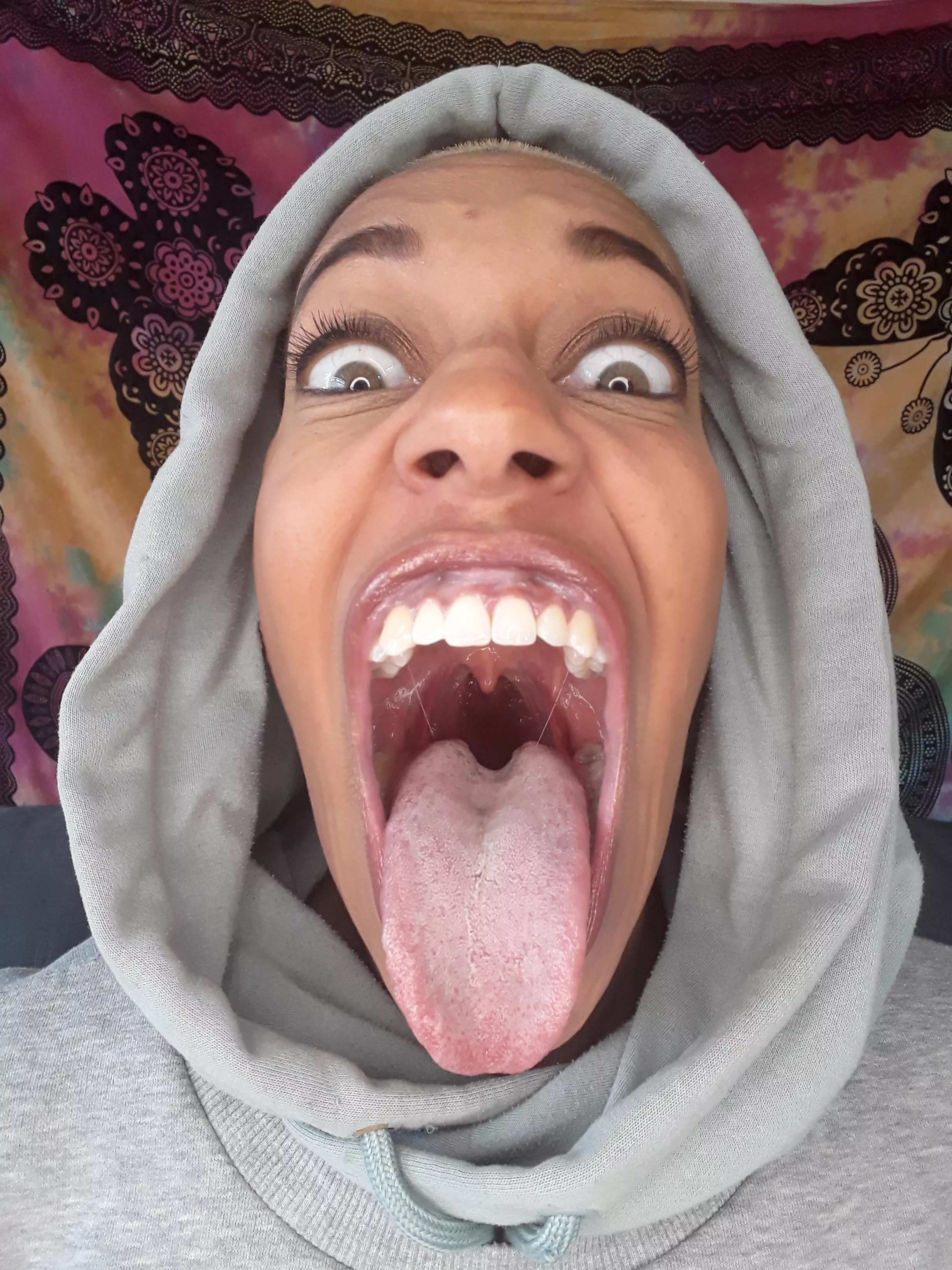 Would you Let me lick you or are you backing away? 🤣 posted by Goldenlace2020