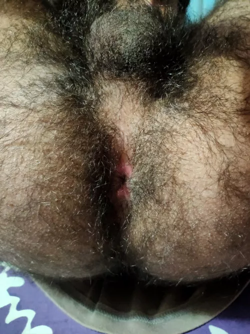 Would you let me sit on your face? 👉👈 by reeehkhsart