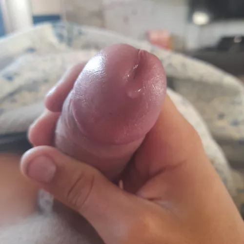 Would you lick it up? by Whole_Photograph_478