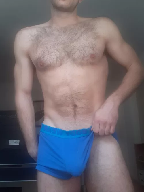 Would you like to grab this bugle? by iamxromx