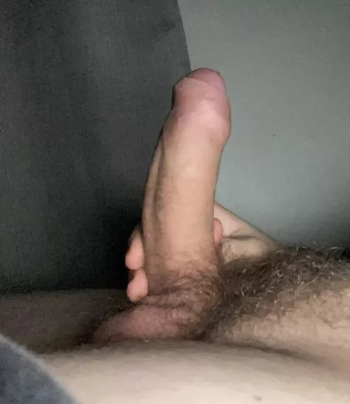 Would you like to ride it? by New-Lie3843