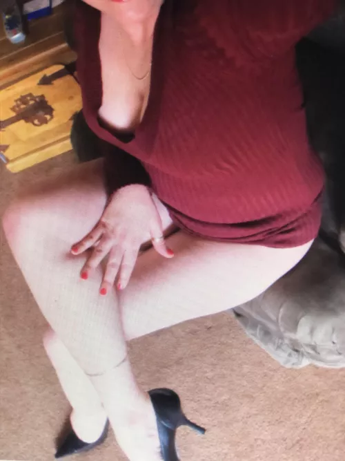 Would you like to sneak a peek from above? by Lovelife64