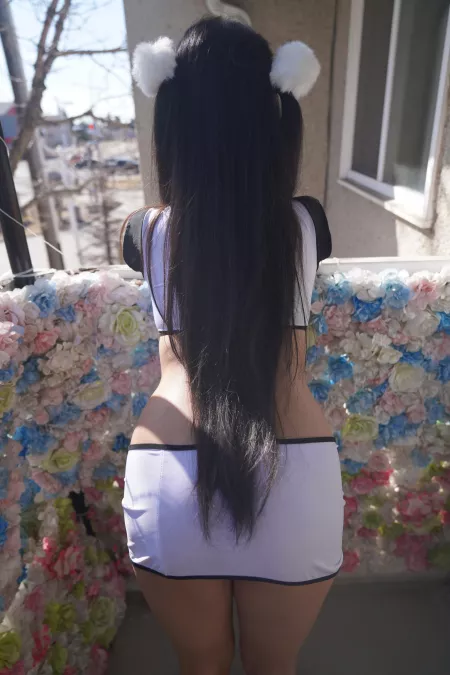 Would you pet a panda? by DreamScandal