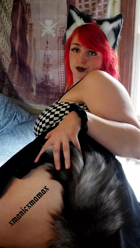 Would you pet? by xmanicxmamax