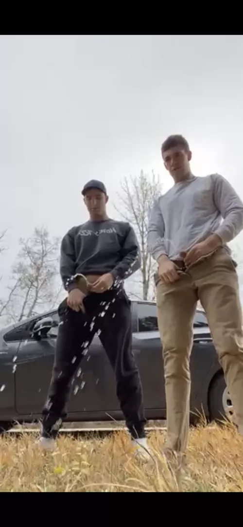 Would you pull over if you saw us? (Sorry for poor quality) by PaganBaby00