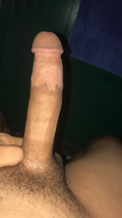 Would you ride? by AdReasonable6077