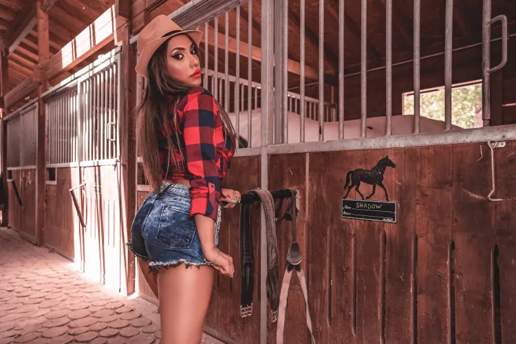 Would you ride with me and Shadow? by No_Measurement_6241