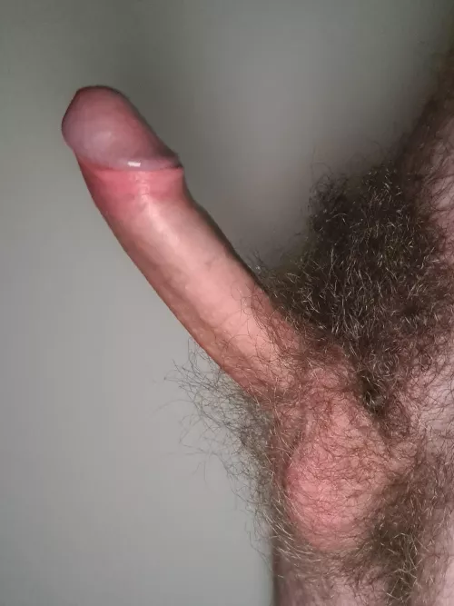 Would you sit in my 18yo hairy cock? by jakentha