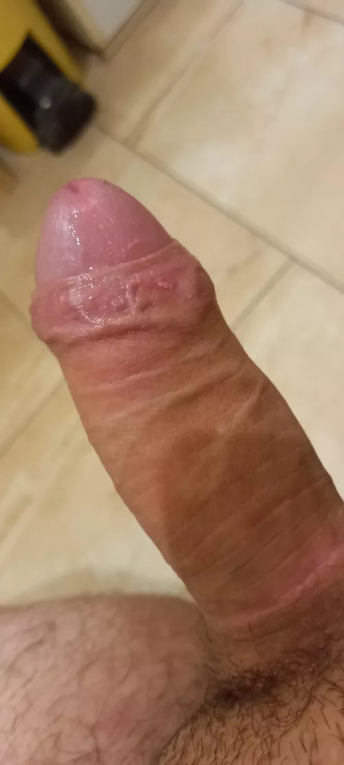 would you sit on it ? by North_Yoghurt1589