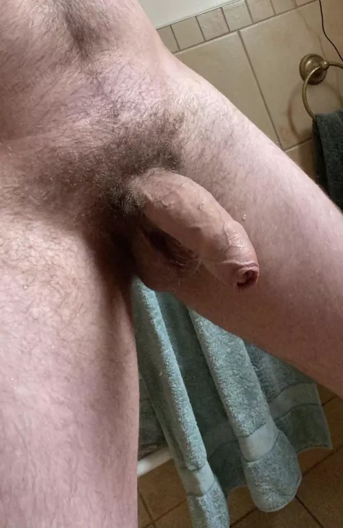 Would you suck my uncut cock? by Appreciate_NZ