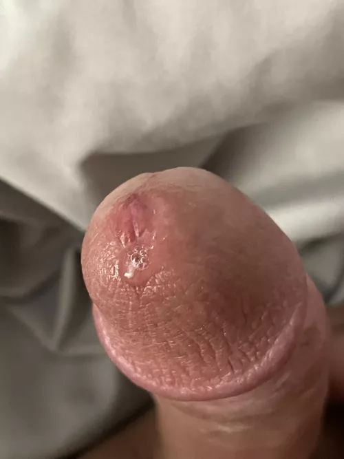 Would you take care of this and let me explode? If so where would you want it? by ChiefRob25