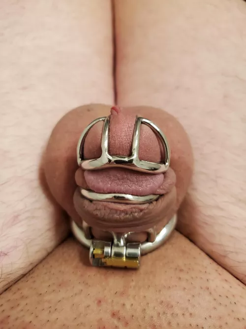 Would you unlock it? 😶 by lwc4lockup