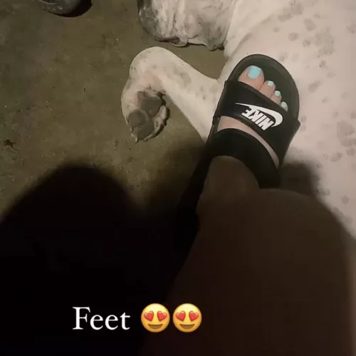 Would you want to see more of these? Are these considered nice? 🥺 by Peachyfeet15