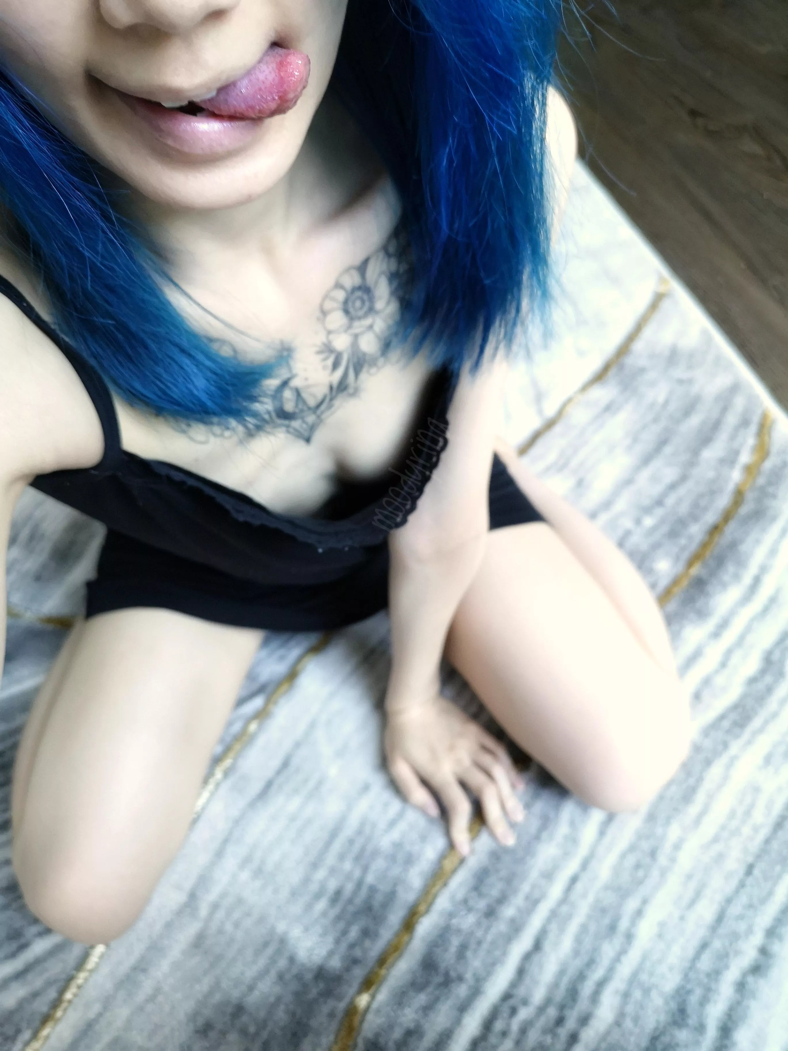 Wouldn't you love picking me up off the floor for some cuddles? 🥰 posted by MoodyRina