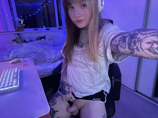 Wouldn’t you love to be under my desk right now? by EmilyPiexo