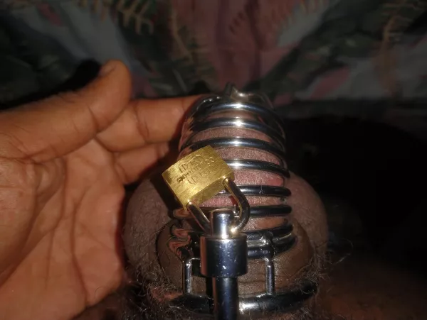 Wow it's been over 20 days already by that1gywhosonreddit