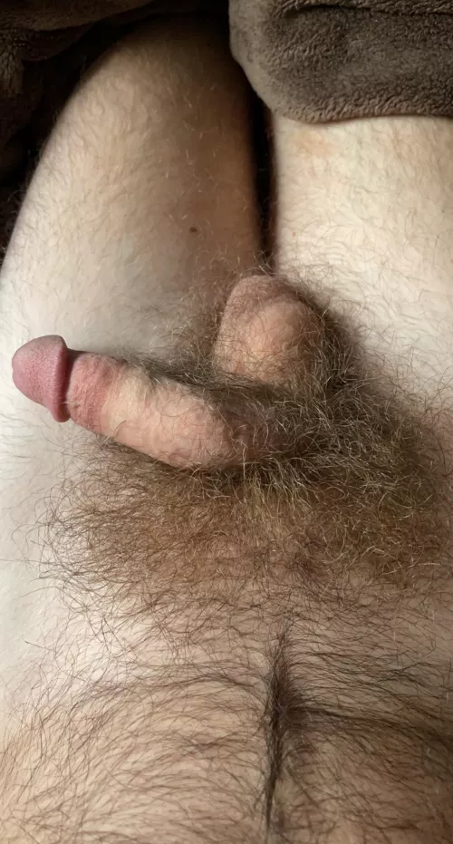 Wow my bush is getting huge by Curved2theleft_1