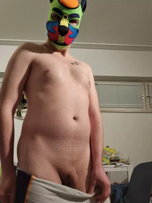 wraff just chilling here by Neo_knight-