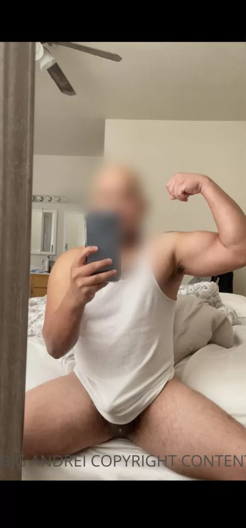 Wrestle? by Daddyandrei