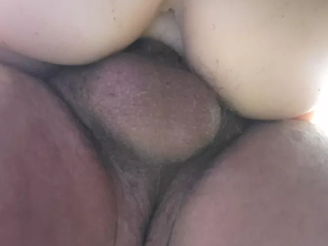 Wyd with this view? by theman5512