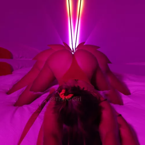 xxxNifty World's Largest Adult NFT Marketplace. NFTs from the likes of Amouranth, Stormy Daniels, Cali Carter, NO Face Girl & many more! [N$FW] token payments accepted! by No_Pumpkin_5783