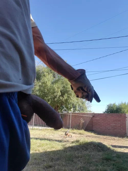 Yardwork by xhibition1