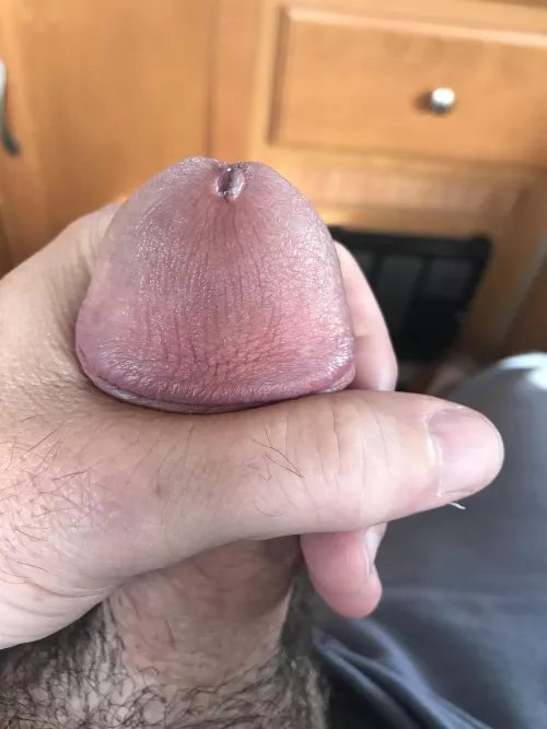 Yeah? by beatnmycock