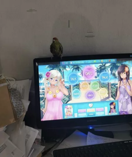 Yeah go on, shit on her please by WindPierrette