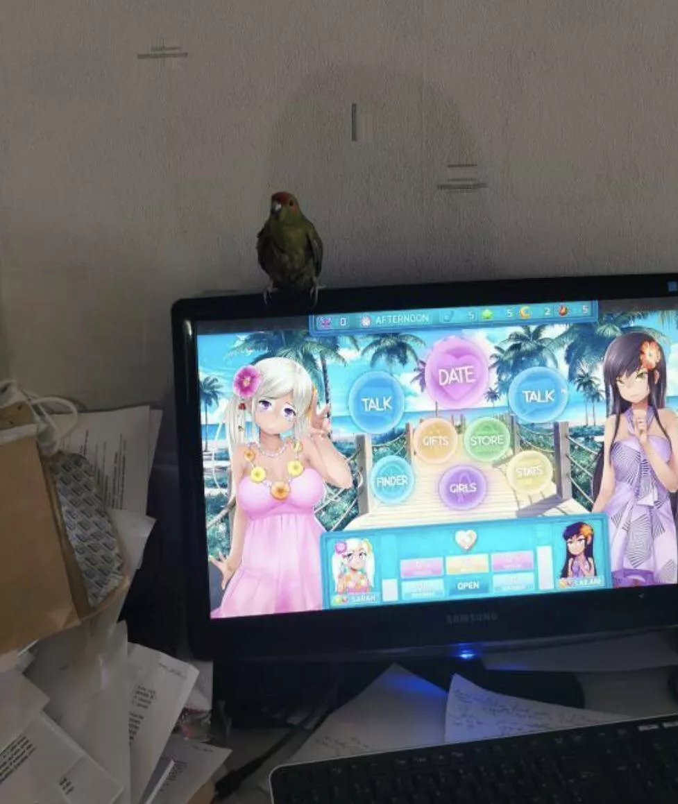 Yeah go on, shit on her please posted by WindPierrette