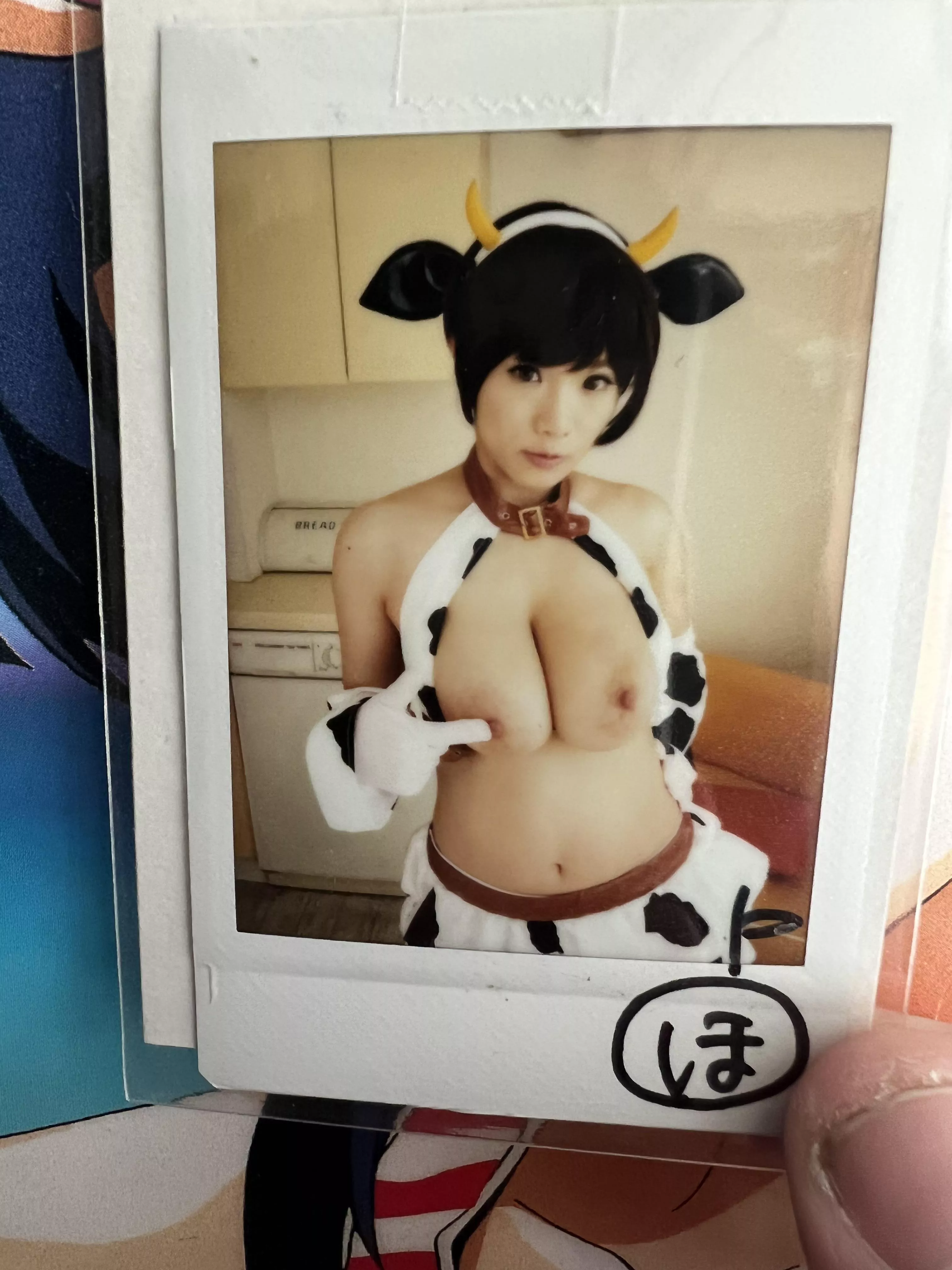 Year of the Ox posted by D3ckard_Rokubungi